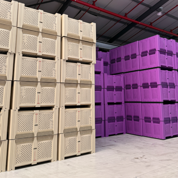 Tego Plastics rigid packaging crate product photograph