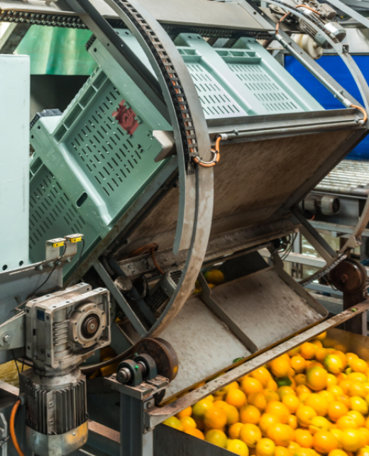 Tego Plastics rigid packaging product photograph